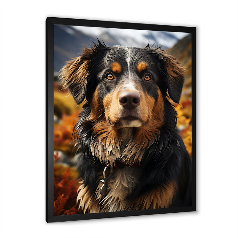 Bernese Mountain Majesty III, H 32 po x l 16 po x P 1 po, Cadre simple noir