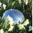 Carstarphen Weather Resistant Landscape & Nature Gazing Ball-788931716