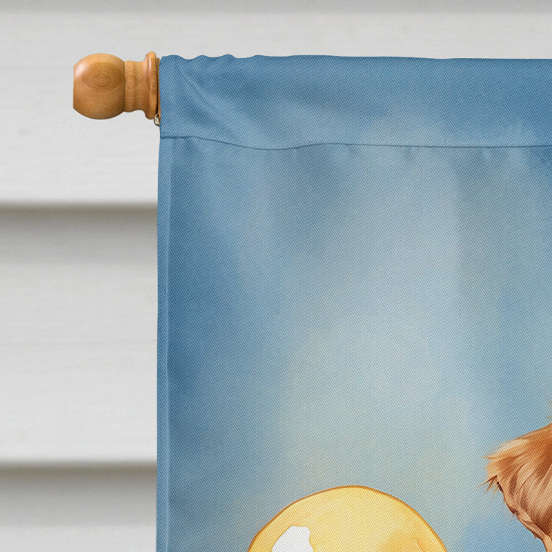 Drapeau «Happy Birthday House», « Nova Scotia Duck Tolling Retriever »
