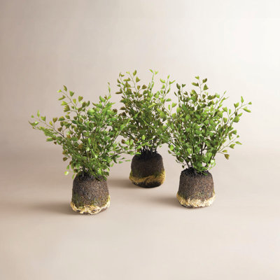 8" Fern Plant