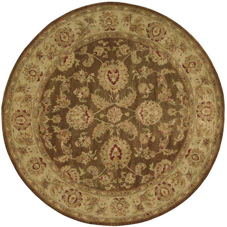 Delaware Wool Oriental Indoor Rug
