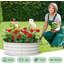 Raised Garden Bed-44673530