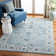 Delmer Performance Oriental Rug