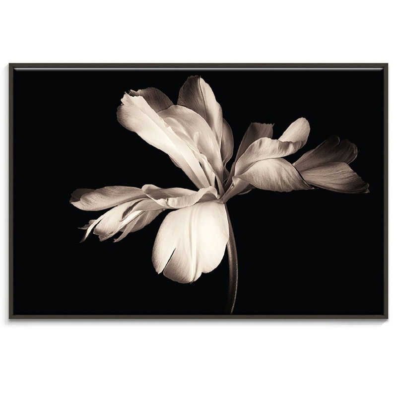Innerglow - Print on Canvas, 51cm H x 76cm W, Black Floater Frame