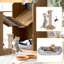 Armoire en noyer avec chat - Décoration intérieure polyvalente, espace privé, lit Mid-Century Vibe Pet Care, finition fonctionnelle et élégante