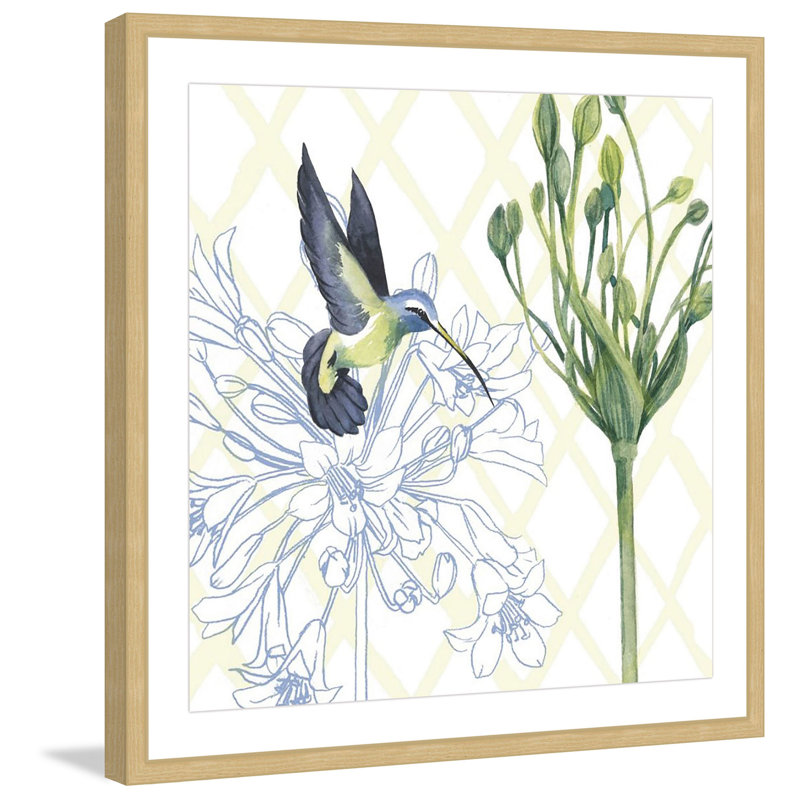 «Hummingbird Dance III», reproduction encadrée, H 24 po x l 24 po x P 1,5 po