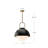 Navarre 1 - Light Dome Pendant-66310715