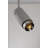 Spotlight-104317857
