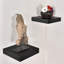 Tablette flottante Bovina-26194435-26194442