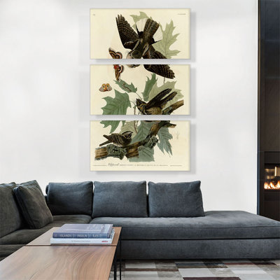 «Whip-Poor-Will» par James Audubon - ensemble de 3 reproductions d'art sur toiles tendues