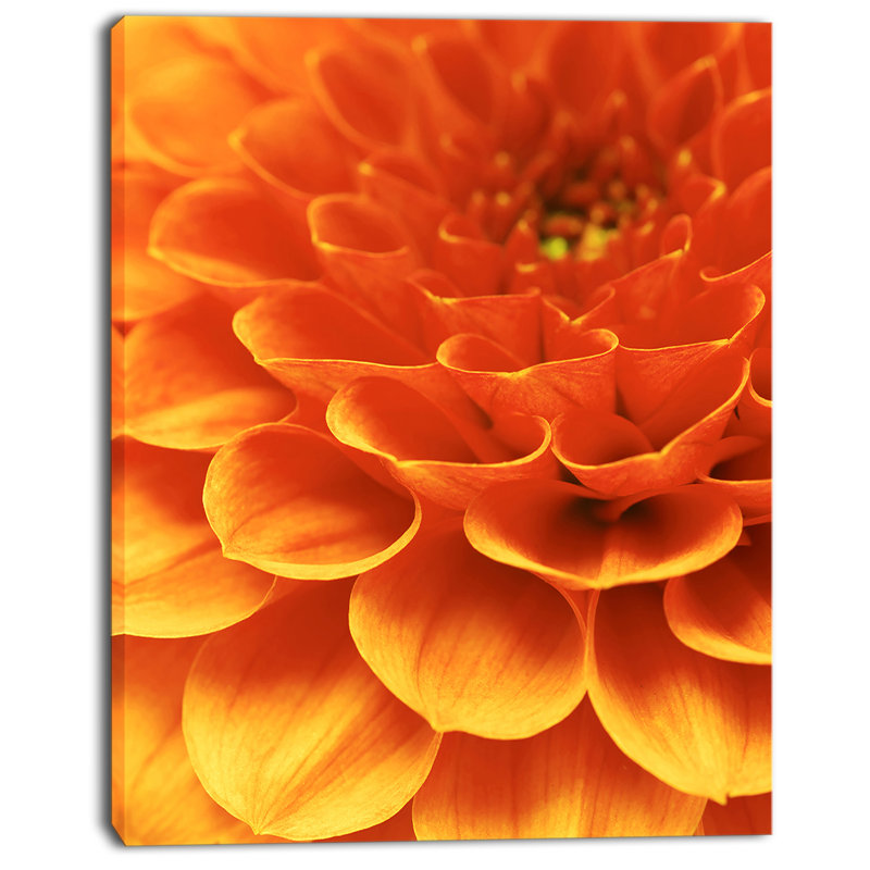« dark abstract yellow floral pétales », impression sur toile tendue, H 20 po x l 12 po x P 1po