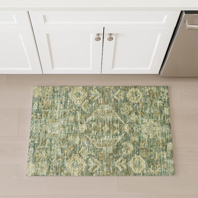 Machine Washable Indoor/Outdoor Jadiel ACN2356 Traditional Rug