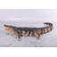 Alligator américain grandeur nature Bowley