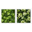 Yoshiko - Ensemble de 2 collages floraux carrés-101855063-101855064