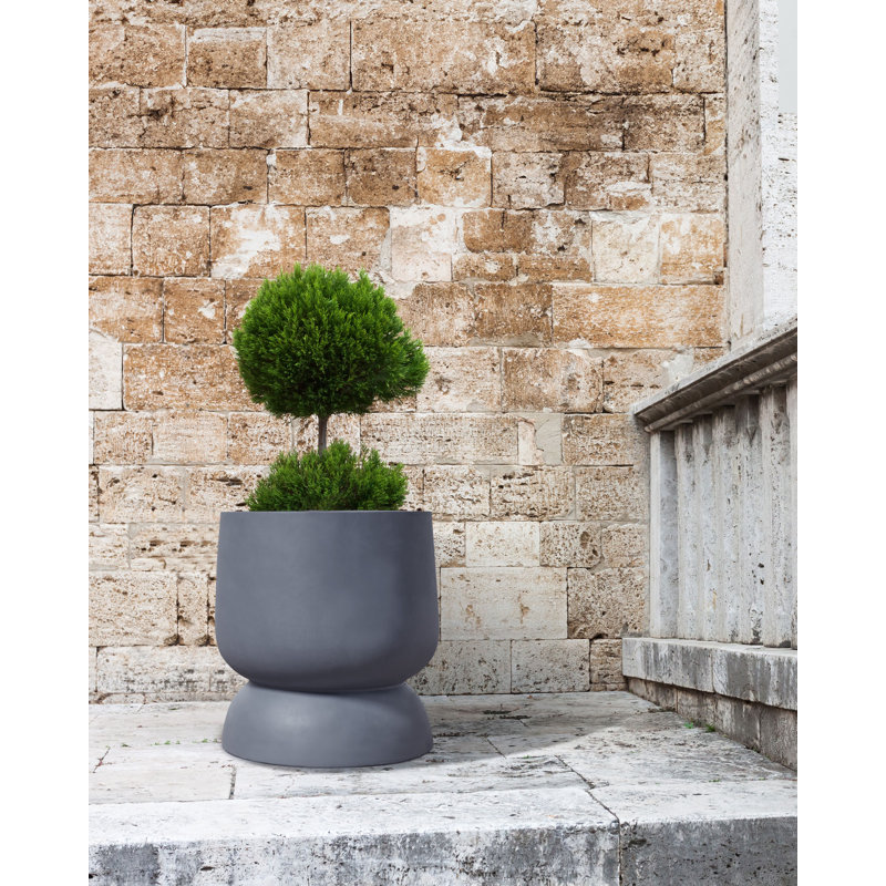 ARAUCARIA Handmade Ceramic Pot Planter
