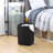 Suprima Fabric Laundry Bag with Handles-31582970-31582971