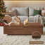 Coffee Table with Storage