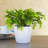 12'' Faux Evergreen Grass in Pot