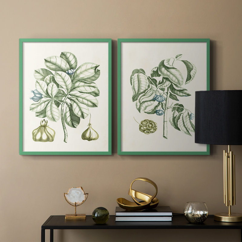 Reproduction encadrée de qualité supérieure Buchoz Tropicals IX - prête à être accrochée, Grey, H 11 po x l 18 po