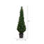 Yarbro Cedar Topiary in Planter-20583798
