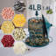 Argene Metal Hanging Hopper Bird Feeder