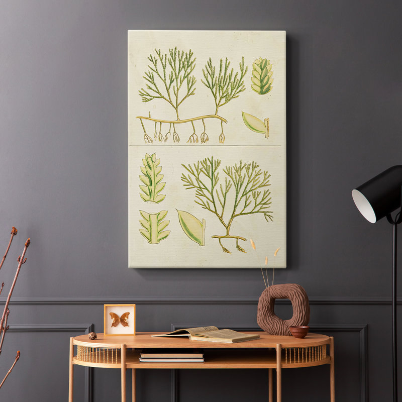 Herbe de mer rétro II - Cavas enveloppés de galerie