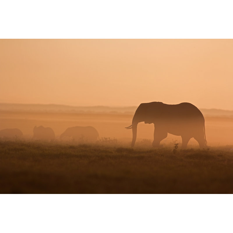 Elephants At Dawn - Wrapped Canvas Print, 81cm H x 122cm W x 3.8cm D