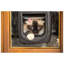 Pet Flap-50391577