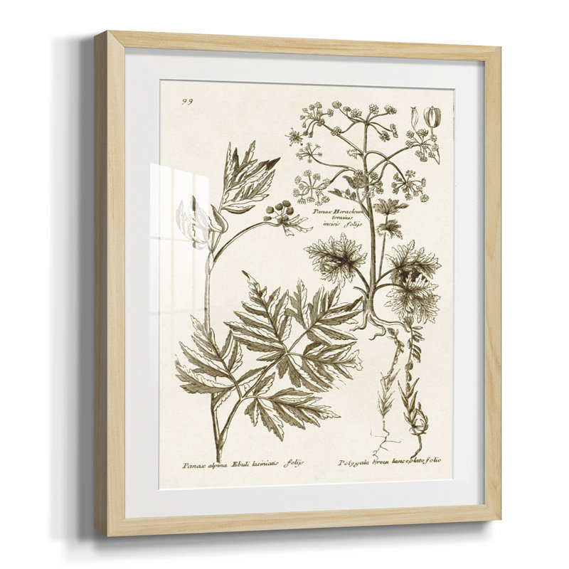 Lavande désert II, Oui, Papier encadré naturel