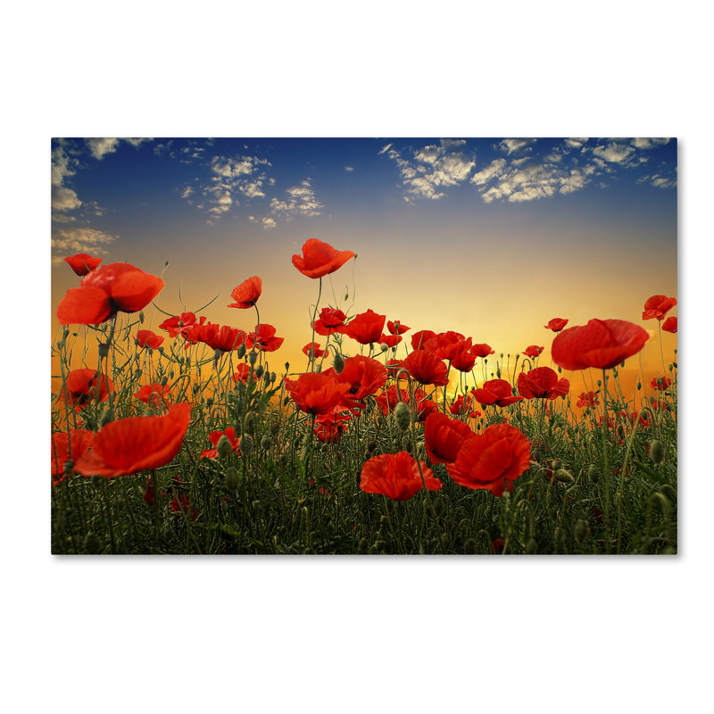 Art mural sur toile tendue - "Coquelicots" Albena Markova pour décoration de salon, de chambre à coucher ou de bureau - 16 x 24