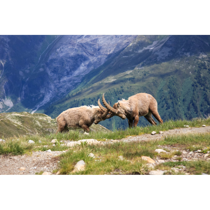 France - Wrapped Canvas Print, 30cm H x 46cm W x 3.8cm D
