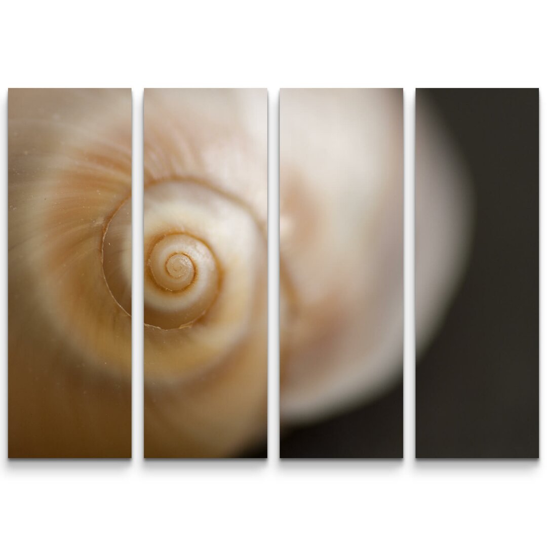 4-tlg. Leinwandbilder-Set Schnecke