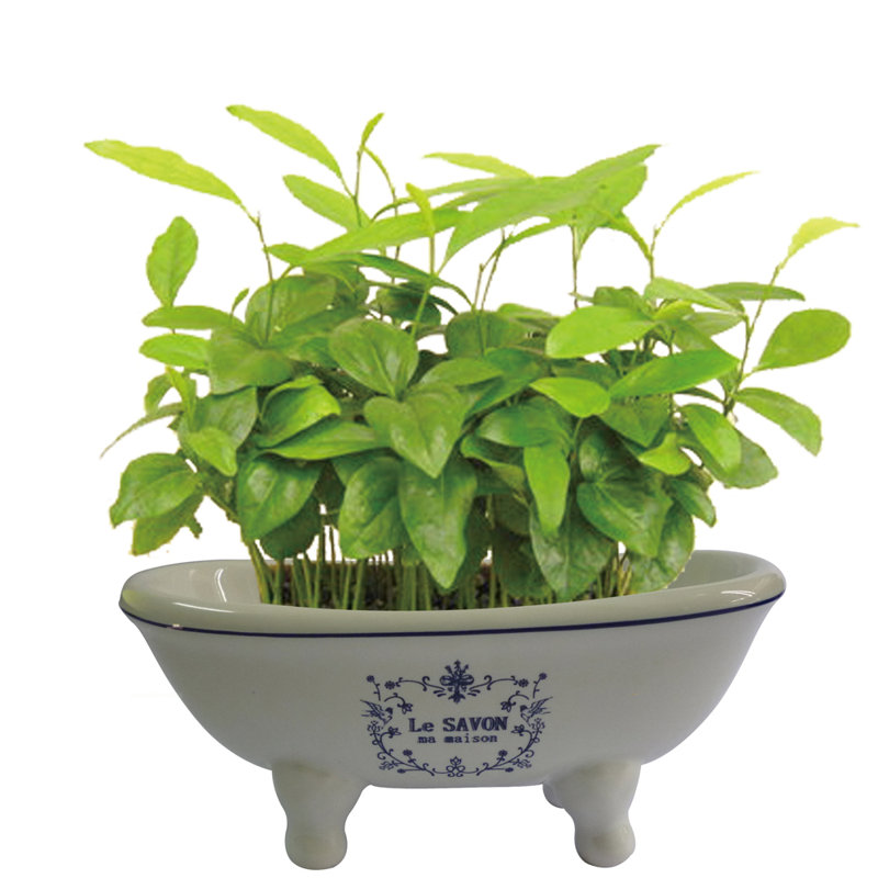 Mini cuve en laiton 5-11 / 16 po Le Savon Kingston