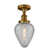 Brushed Brass sélectionné