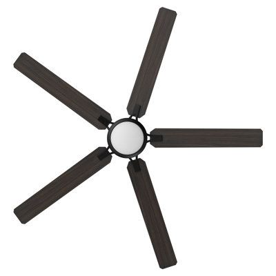 60'' Ceiling Fan with LED Lights
