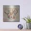 Luxe Métal Art «Spice Nature VIII» par Lisa Audit, «Spice Nature VIII» par Lisa Audit-101654900