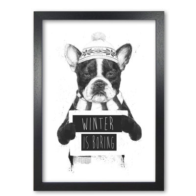 Winter is Boring 1 Piece Wall Art