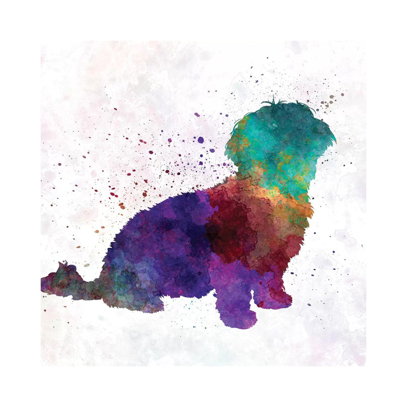 Havanese In Watercolour by Paul Rommer - Wrapped Canvas Painting, 66.04cm H x 66.04cm W x 1.91cm D