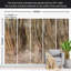 Papier peint Surface Surface - feuilles sèches-105042391
