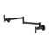 Sumerain S6113X-6111 Kitchen Faucet