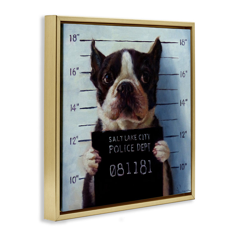 Boston Terrier Jail reconnu coupable Mugshot, Cadre flottant métallique doré, H 25 po x l 25 po