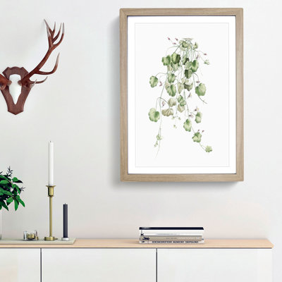 Kenilworth Ivy Flowers by Pierre-Joseph Redoute - Picture Frame Graphic Art Print