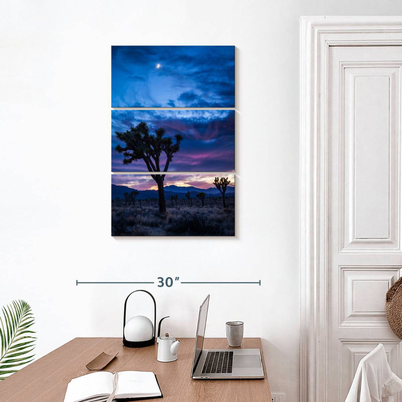 Masam Joshua Tree Park la nuit, H 32 po x l 20 po