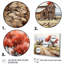 Farmstead Lnadscape I - Reproduction-1613520154-1613520147