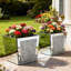 Bethly Planter Box