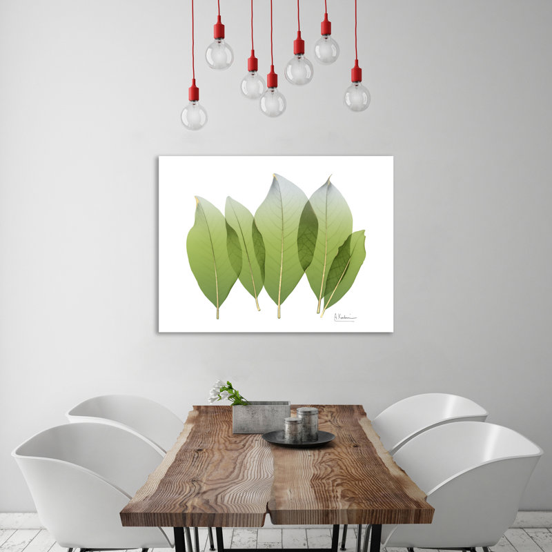 Golden Magnolia Leaf - Wrapped Canvas Print, 30 cm H x 41 cm W