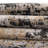Highdell Abstract Indoor Rug-1565102841