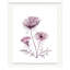 Queen Anne's Lace No. 19