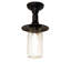 1 - Light Flush Mount