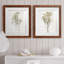 «Farmhouse Pressed Flower I», ensemble de 2 impressions-1472801477-1472801478